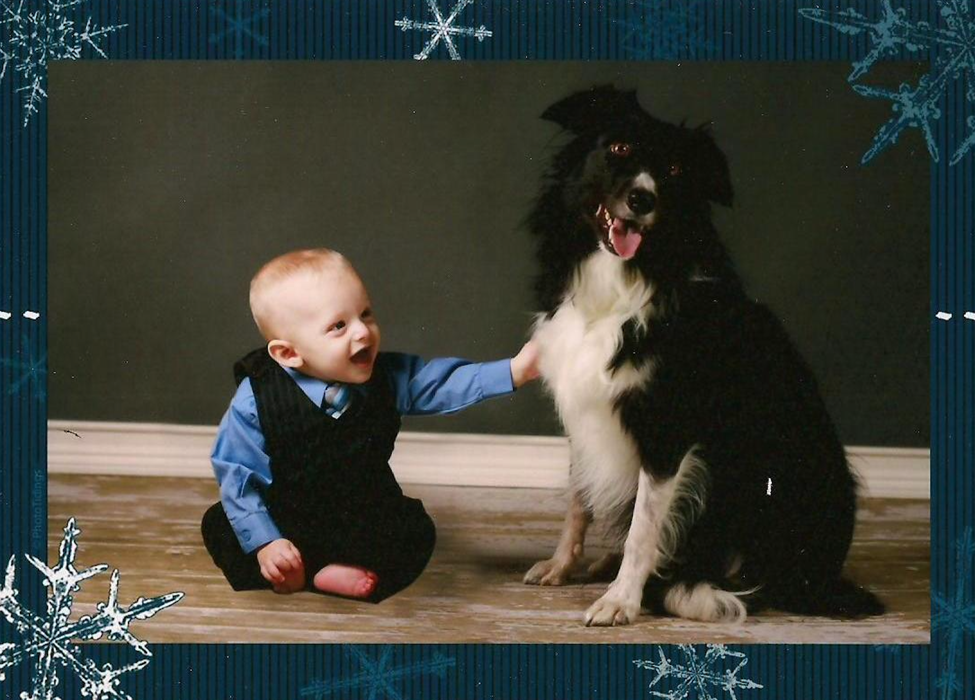 Baby laughs, reaching out to touch a black and white dog. They're seated on wooden floor against a dark background.