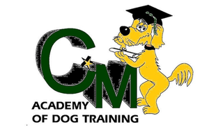 Cm Academy of Dog Training Logo for CM Academy of Dog Training: Yellow dog in mortarboard holding diploma, with green
