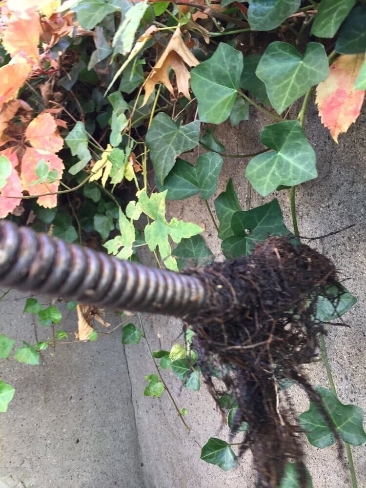 man cleaning out brush from drain-Drain Away Sewer Service, Inc. in Stamford, Connecticut