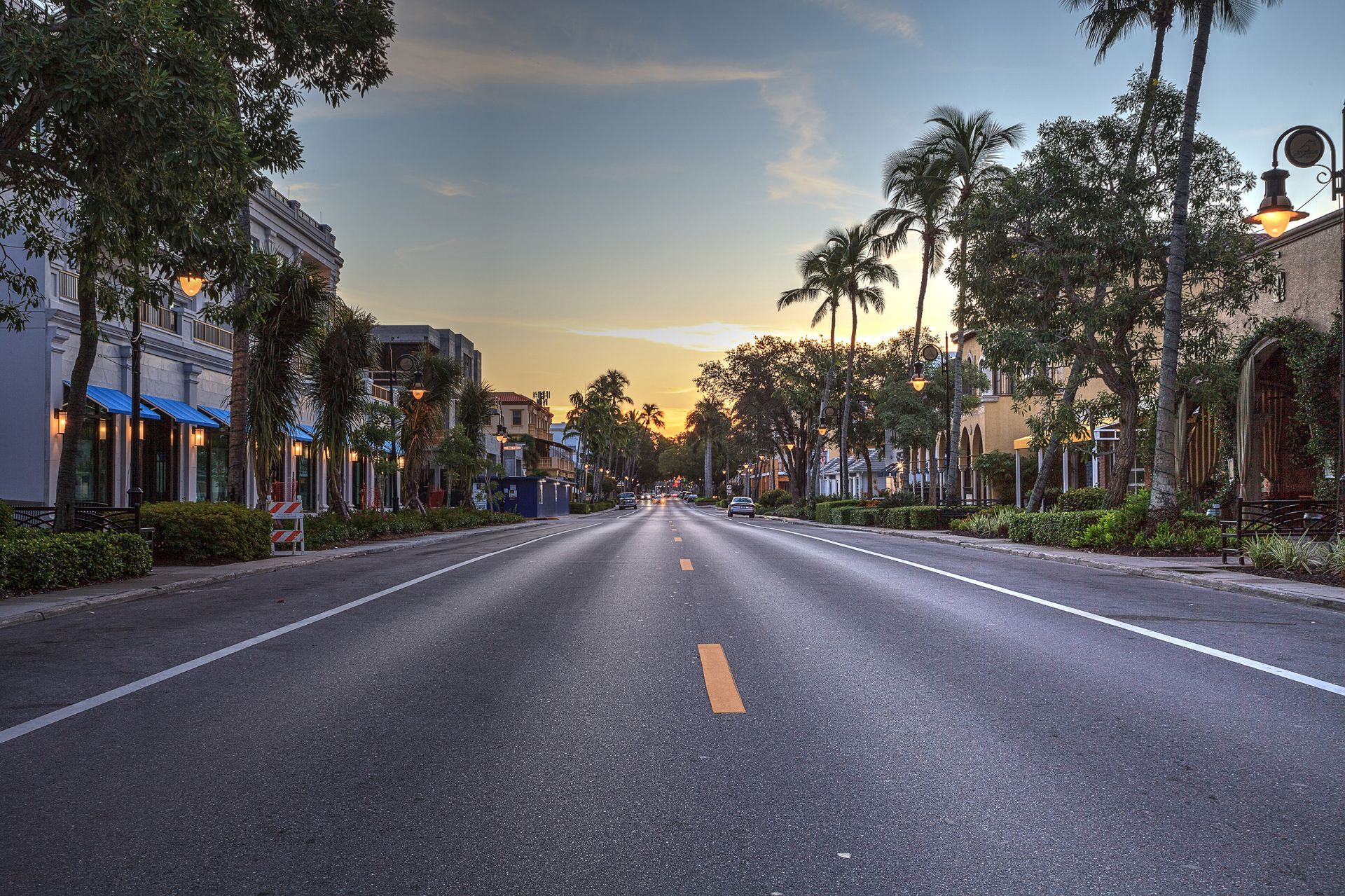 An empty street with palm trees on the side of it