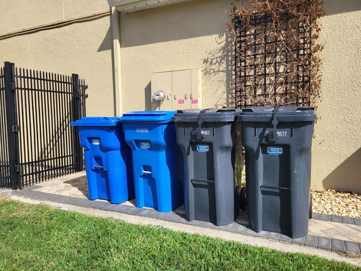 Trash bin cleaning services in Tampa Bay and the Florida Sun Coast