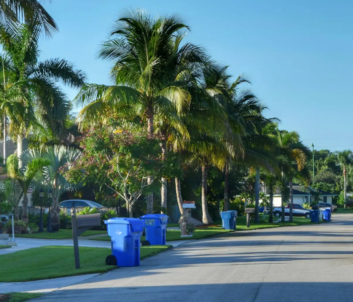 Two blue recycling bins are sitting on the side of the road.