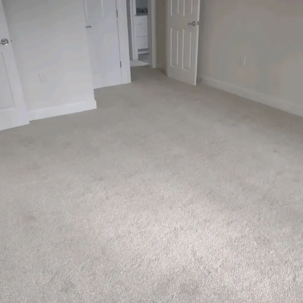 Empty bedroom with white walls, doors, and light-colored carpet.