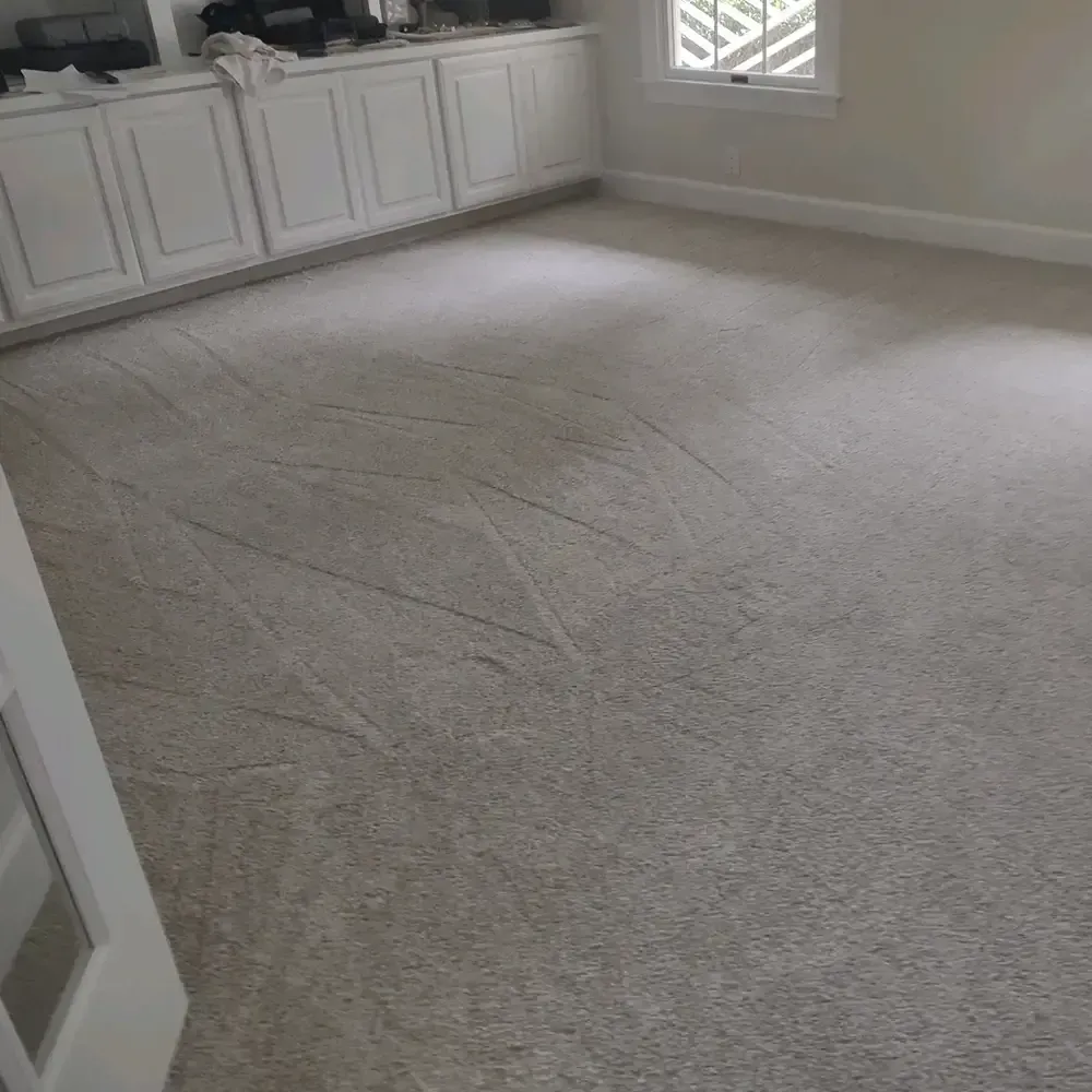 A carpeted room with white cabinets along one wall, lit by a nearby window. The carpet has visible foot traffic patterns.