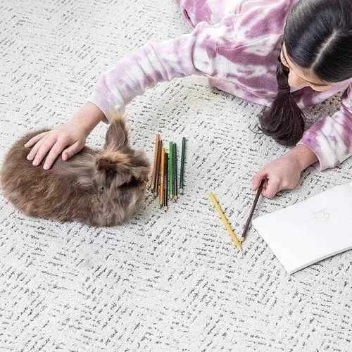 Girl petting a brown rabbit on a white rug, with colored pencils and a sketchbook nearby.