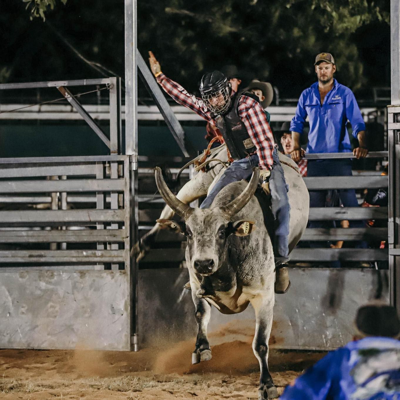 Top End Bull Spectacular