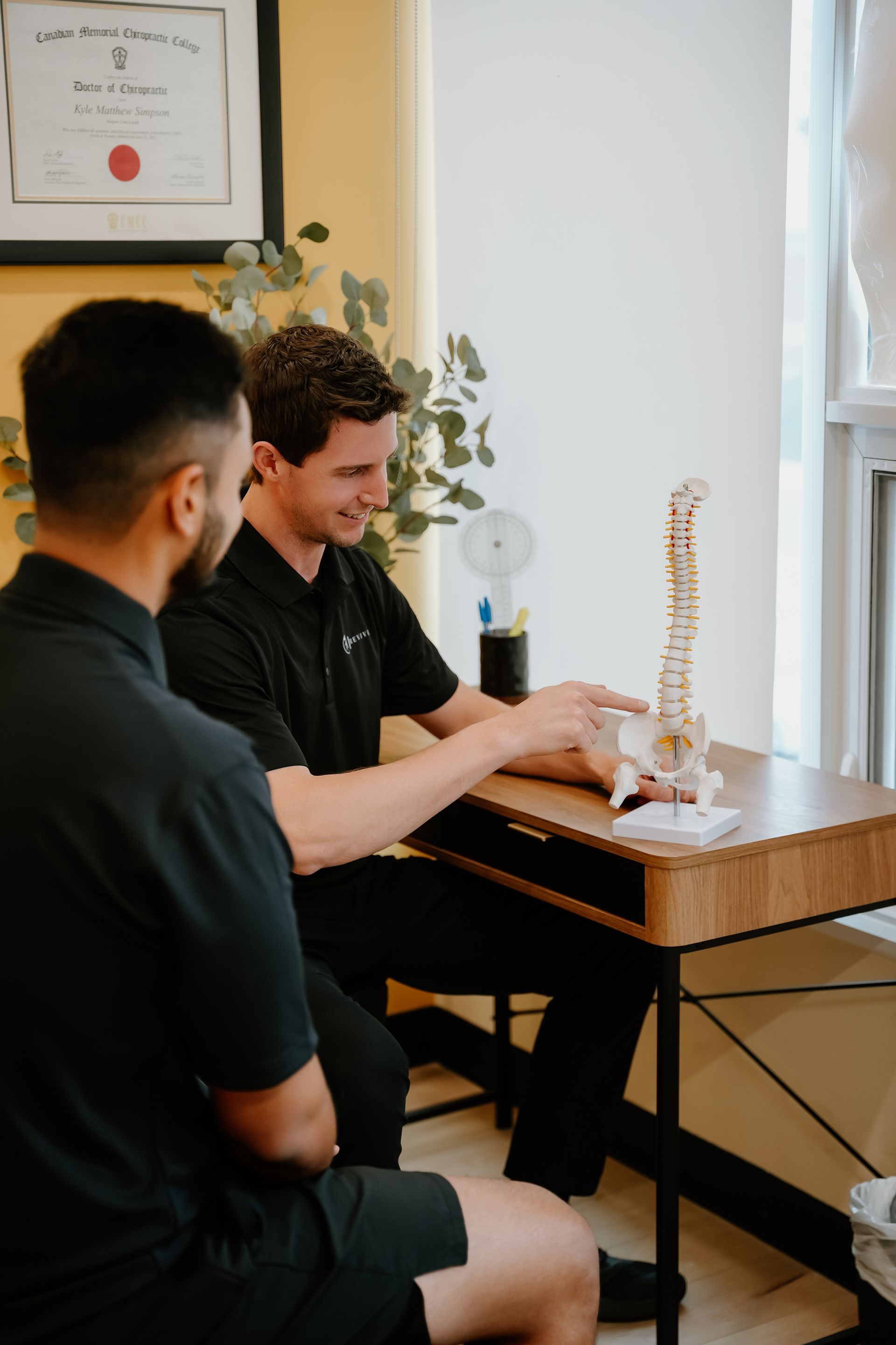 A healthcare professional points to a spine model explaining it to a patient in a bright office.