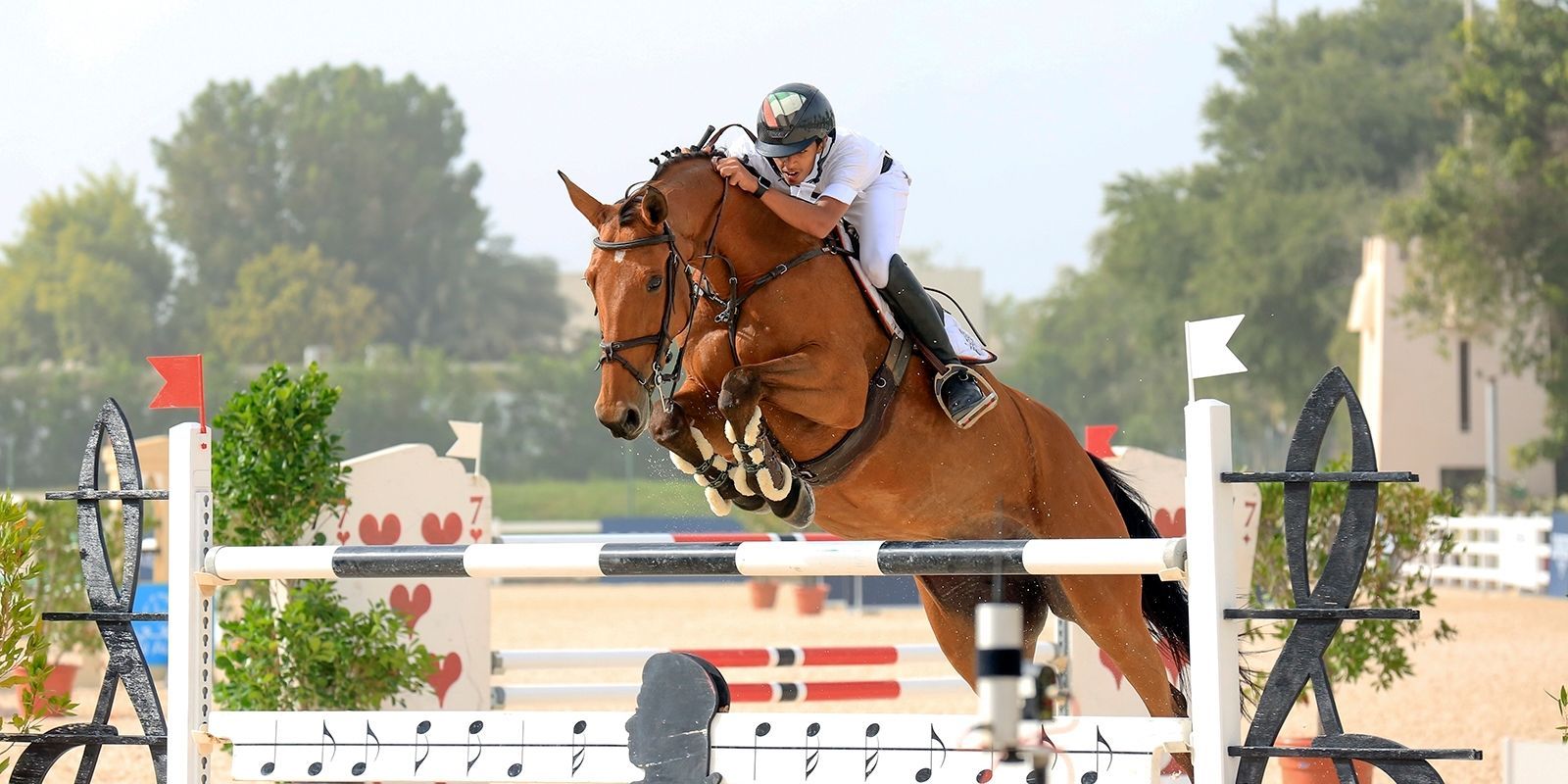 Rossi Shipping ATA Carnet Customs Specialists for show jumping abroad