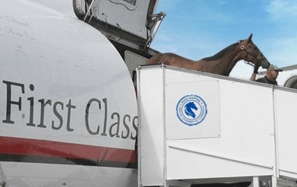 Rossi Shipping ā ATA Carnet ā exporting & re-importing horses for equestrian shows