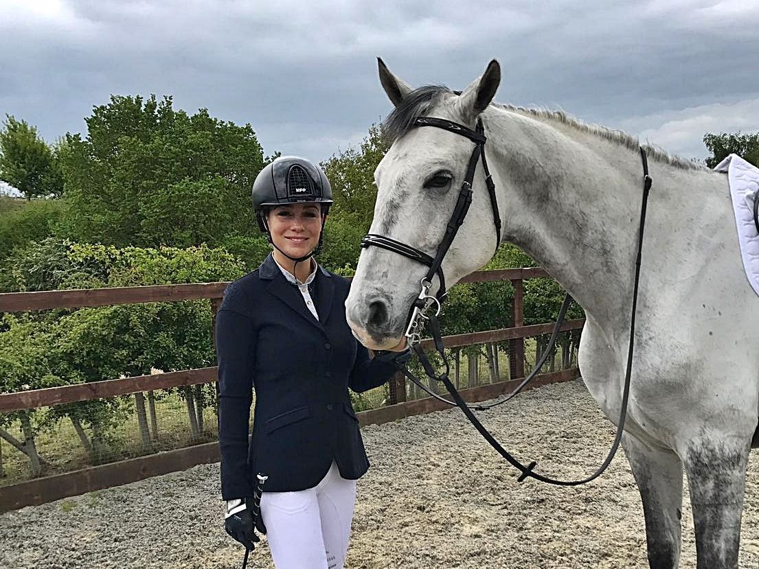 Rossi Shipping – ATA Carnet – exporting & re-importing horses