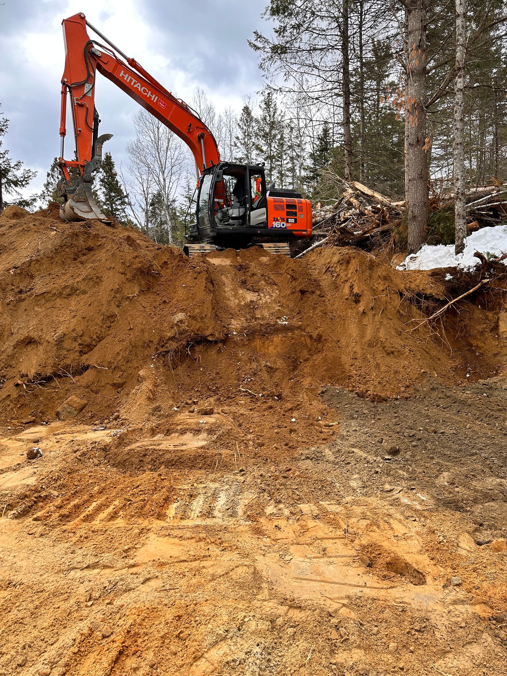 Une excavatrice creuse un trou dans la terre des bois.