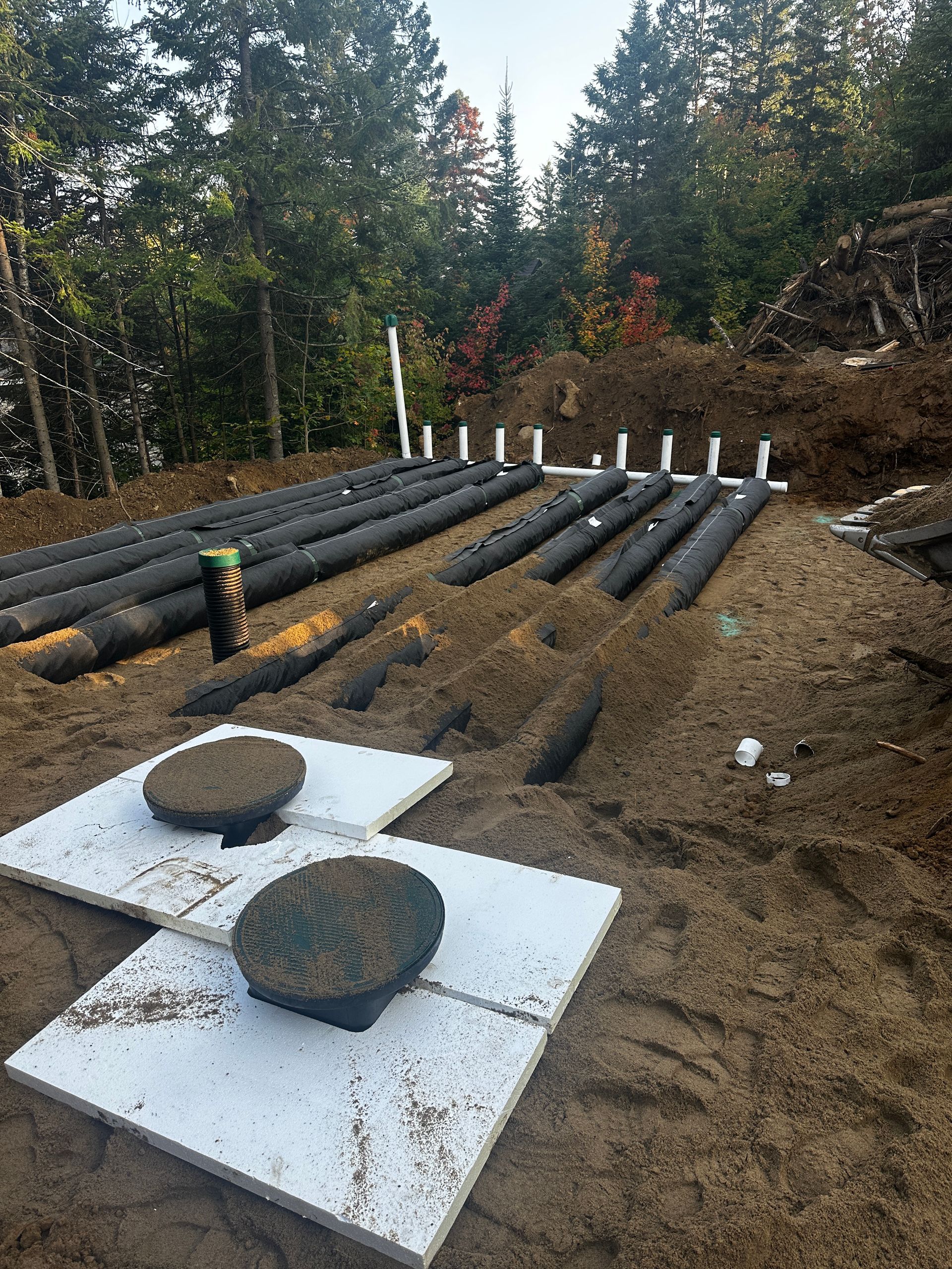 Une fosse septique est en construction au milieu d'une forêt.