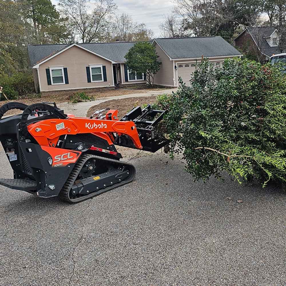 An orange Kubota track loader moving a large, green bush in front of a tan house.