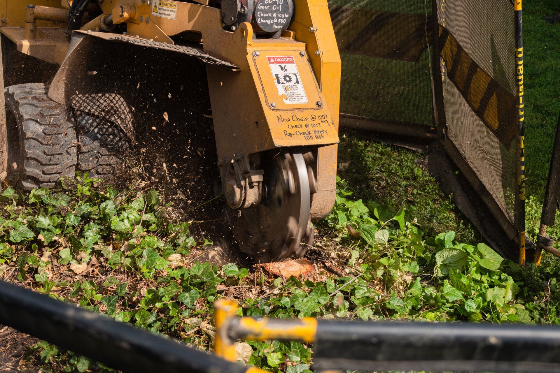 A yellow stump grinder cuts into a tree stump surrounded by green ground cover with a mesh safety barrier nearby.