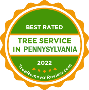 Professional Stump Removal