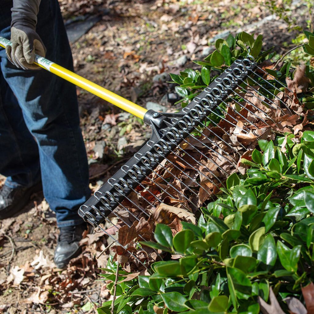 A person wearing work gloves uses a yellow-handled wire rake to pull dried leaves from green shrubbery in a yard.