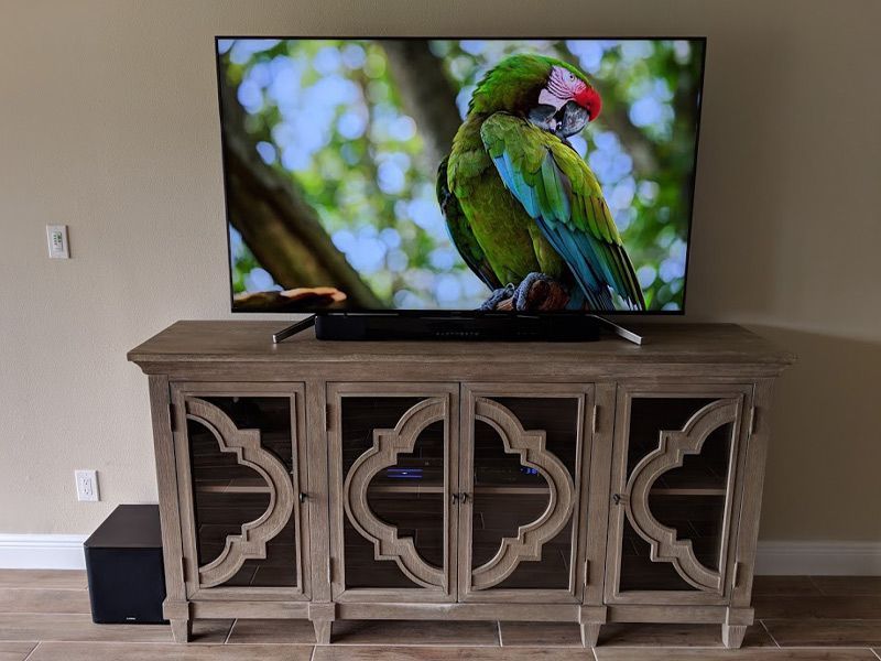 A television with a picture of a parrot on it
