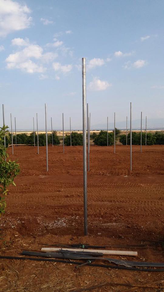 Realizzazione serra agricola