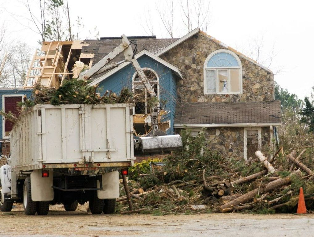 An image of Tree Removal Services in Shelton, CT