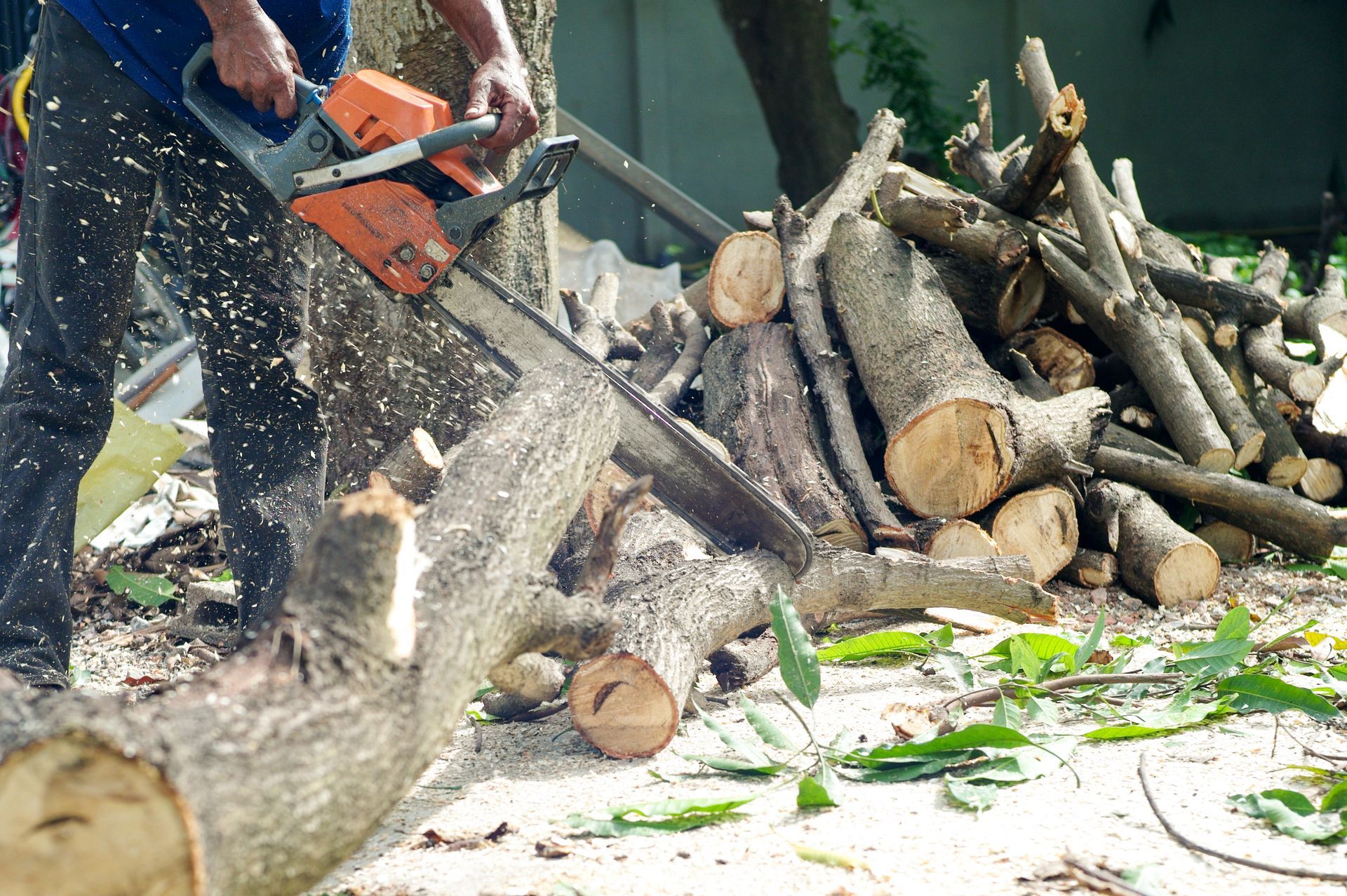 Can Tree Removal Be Deducted From Taxes?
