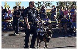 Police and canine - Dog Groomer in Centennial, CO