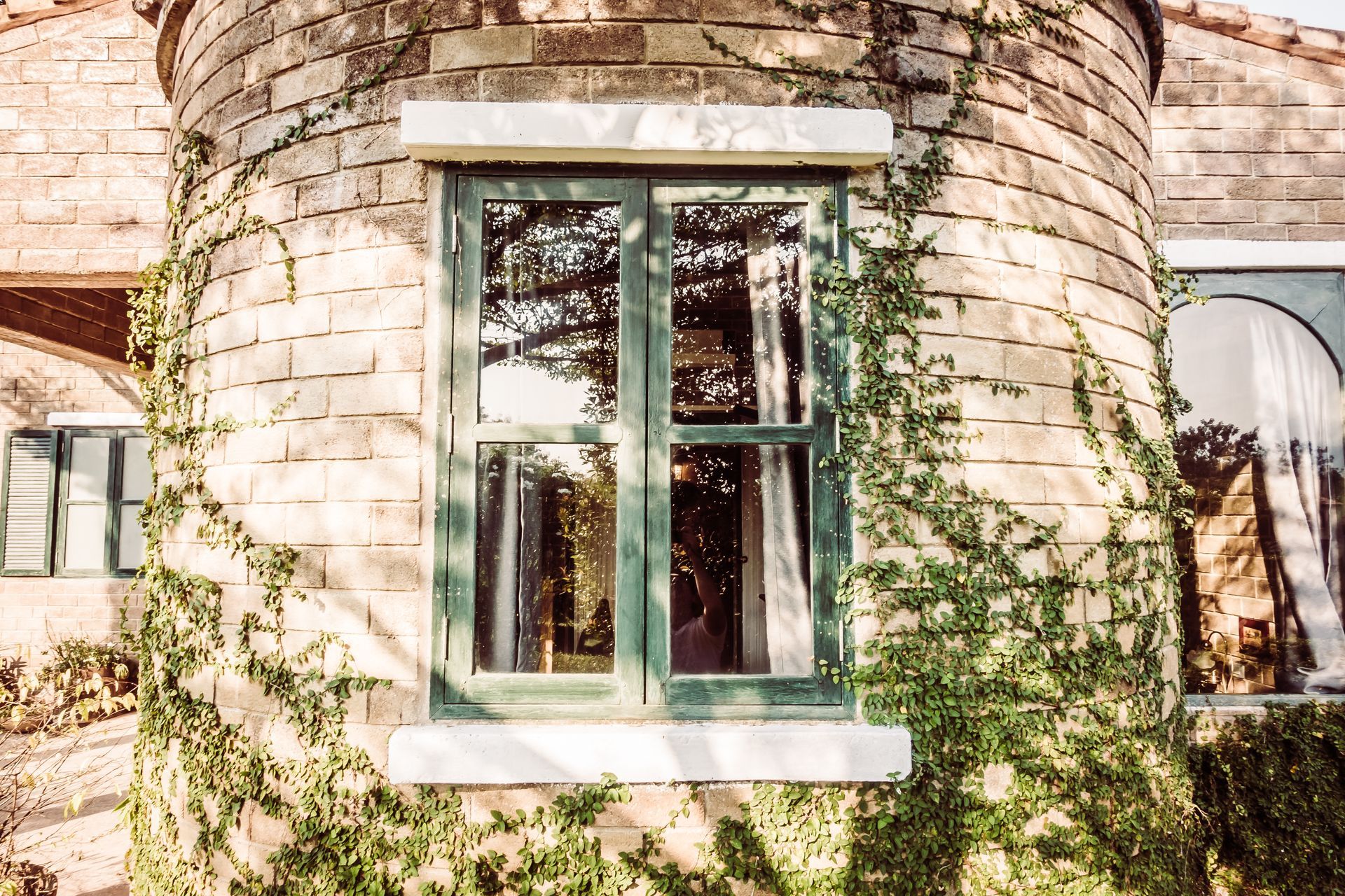 A brick building with a green window and ivy growing on it.