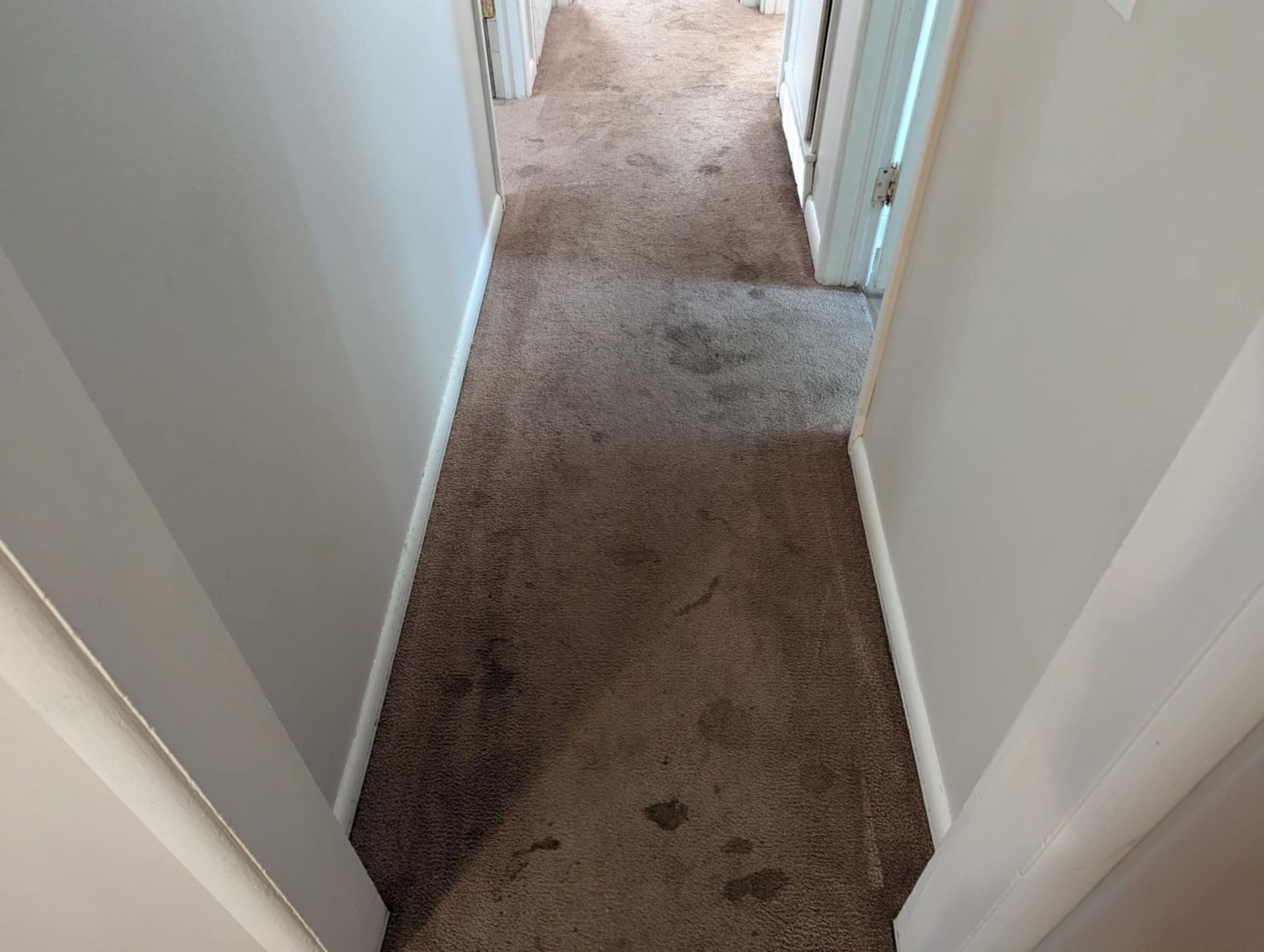 AAA Carpet Cleaning