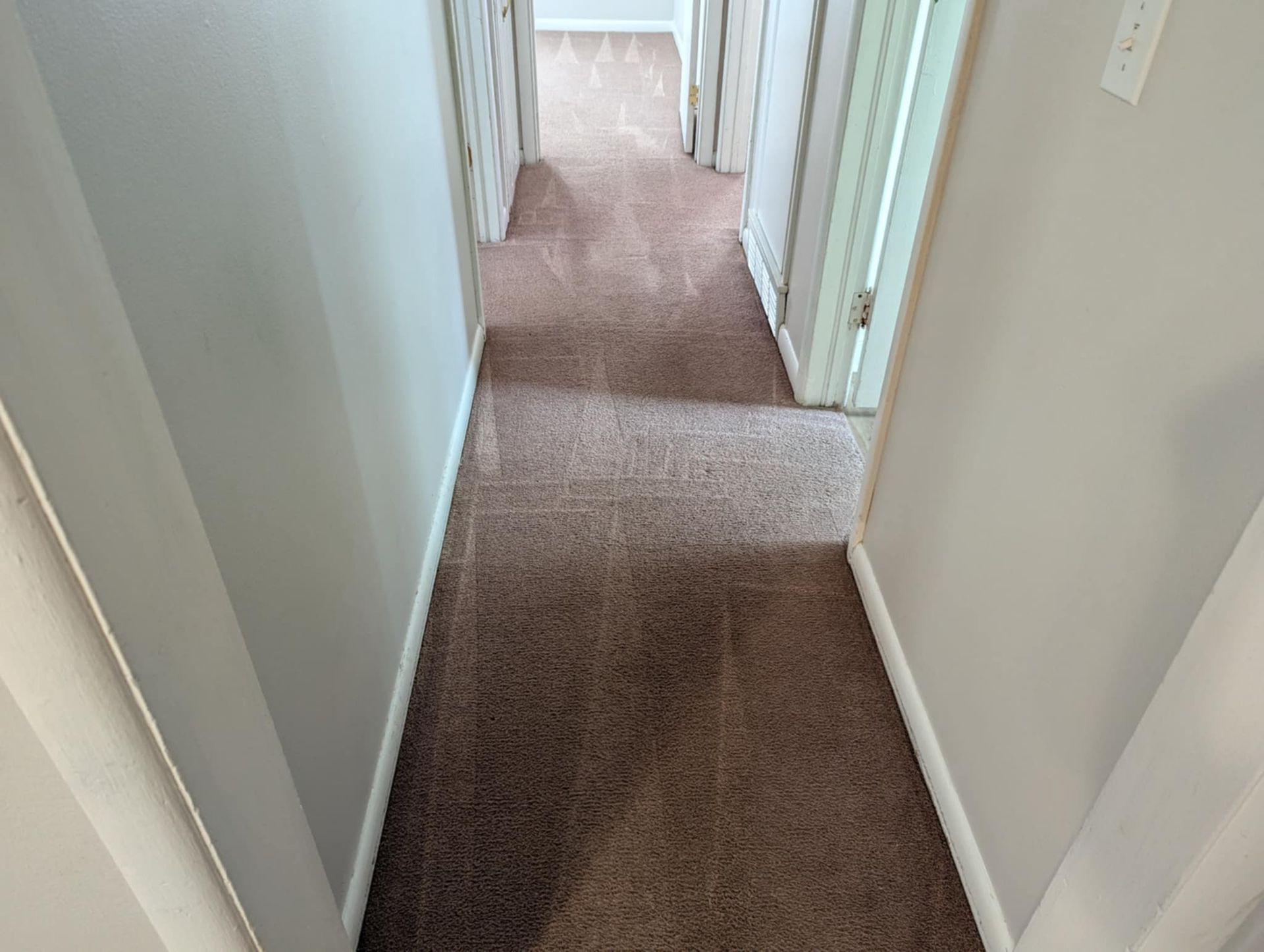 AAA Carpet Cleaning