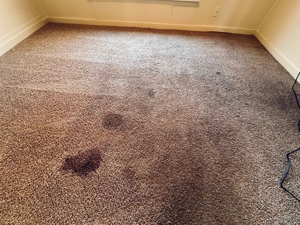 AAA Carpet Cleaning