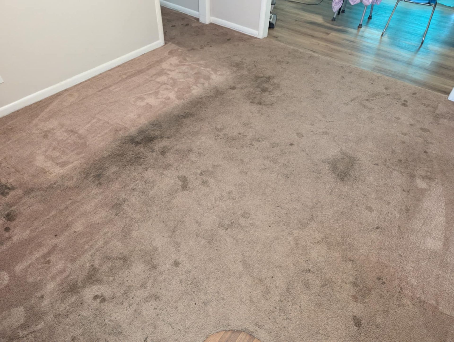 AAA Carpet Cleaning