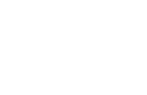 Fondo blanco vacío.