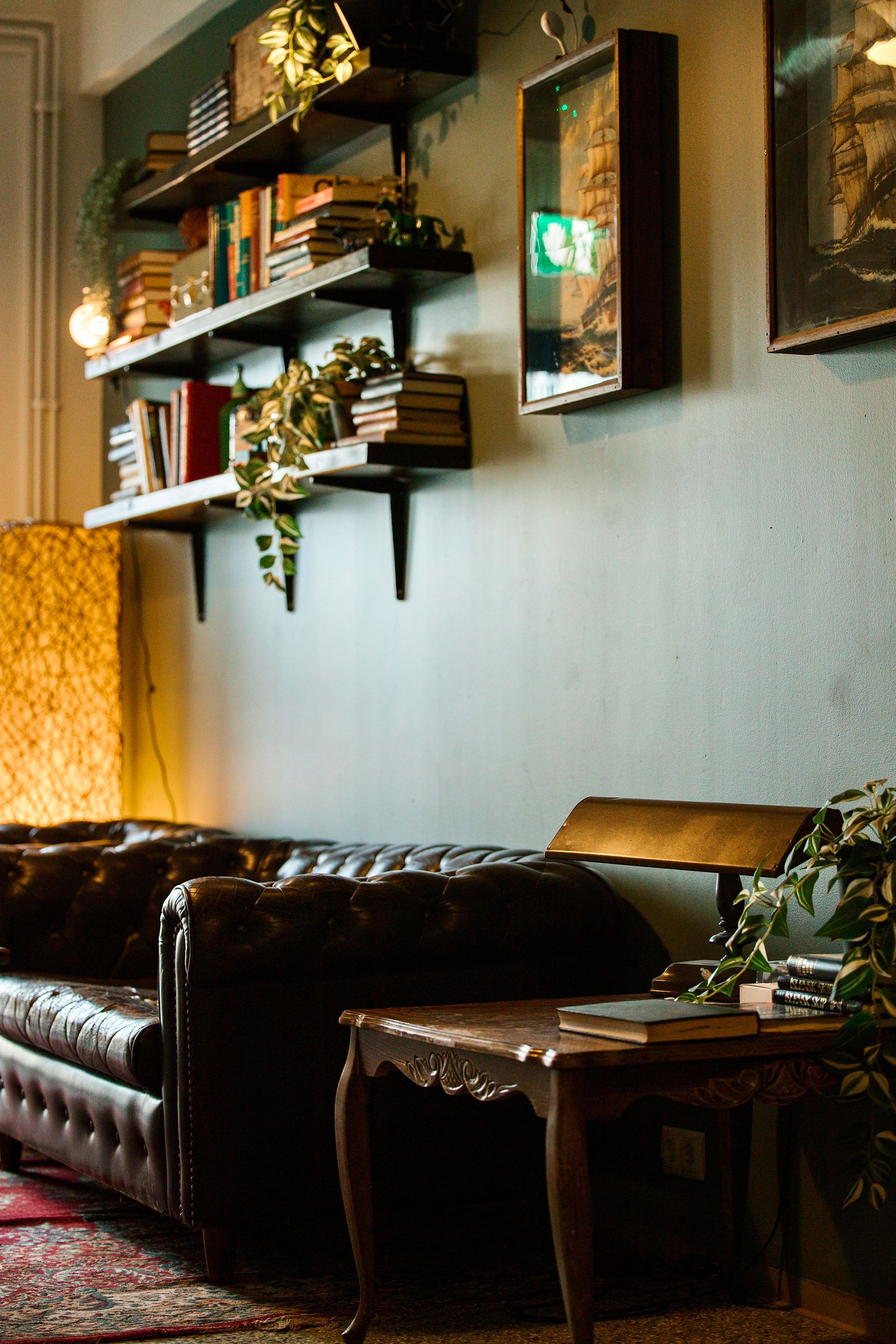 Leather sofa in a cozy room with bookshelves, a small table, and hanging plants.