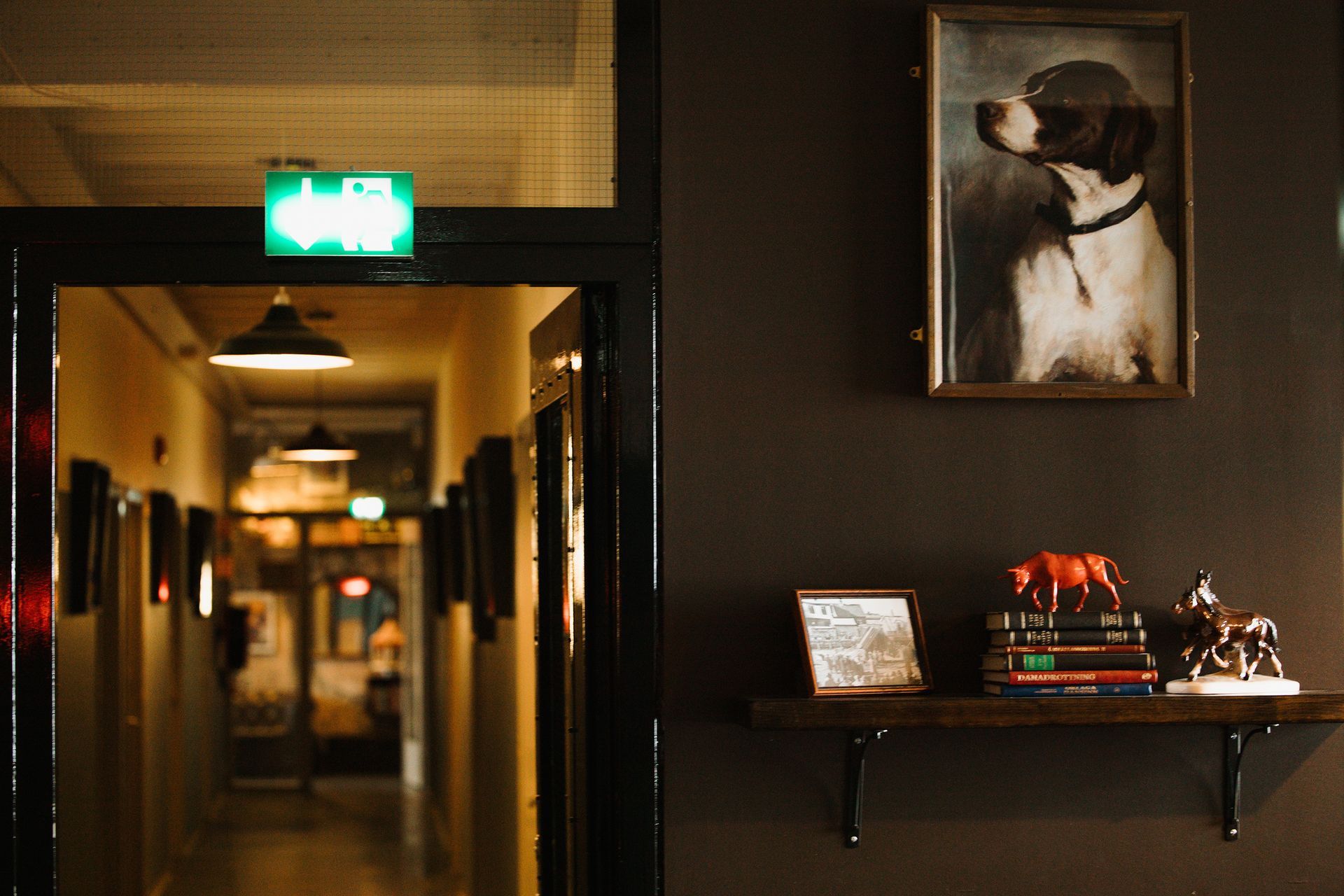 Hallway with art, shelf with books and figurines, and a dog portrait.