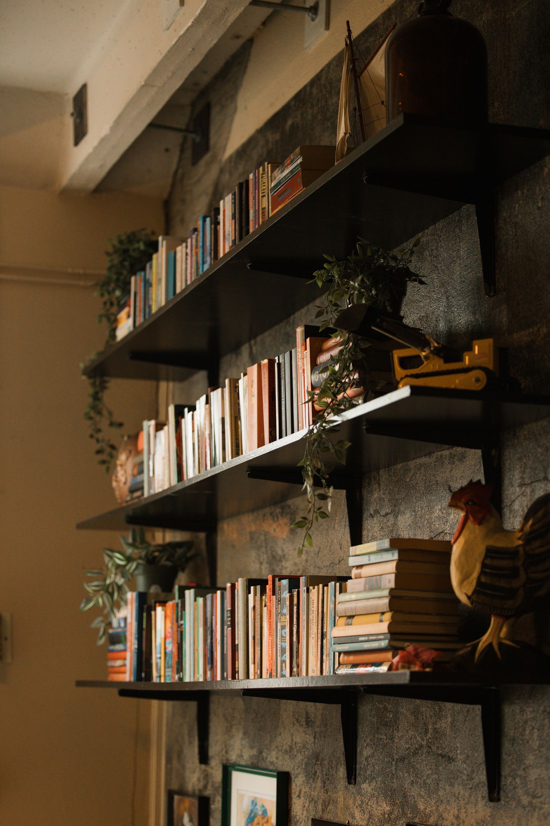 Bookshelves with books and plants against a textured wall.