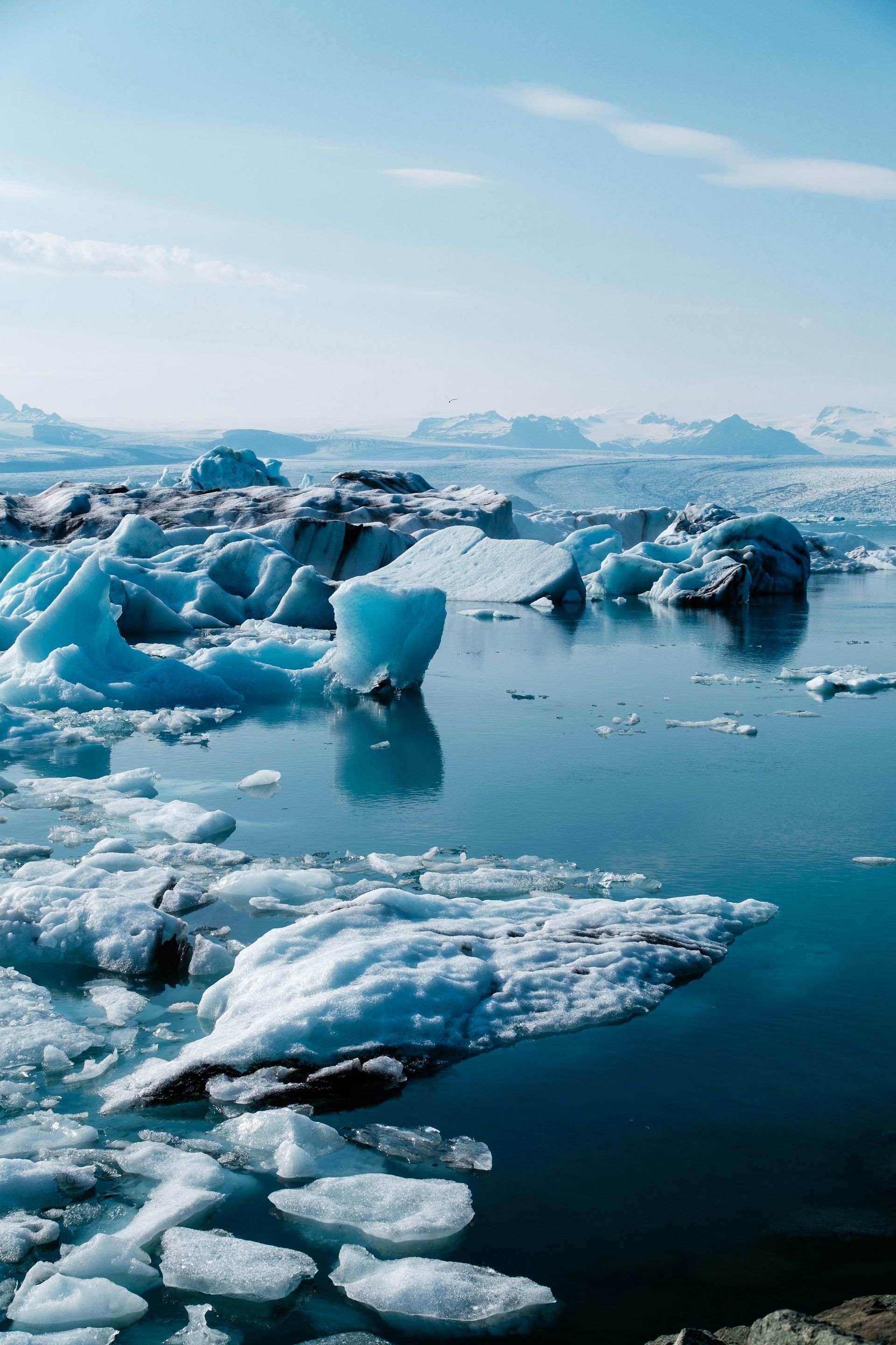 Floating blue icebergs in glacial lagoon under a bright sky.