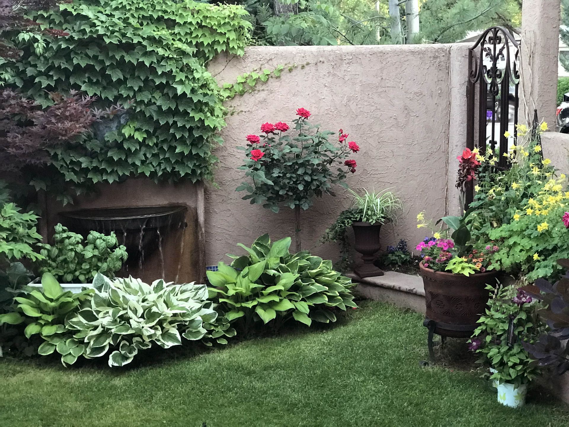 A garden filled with lots of plants and flowers