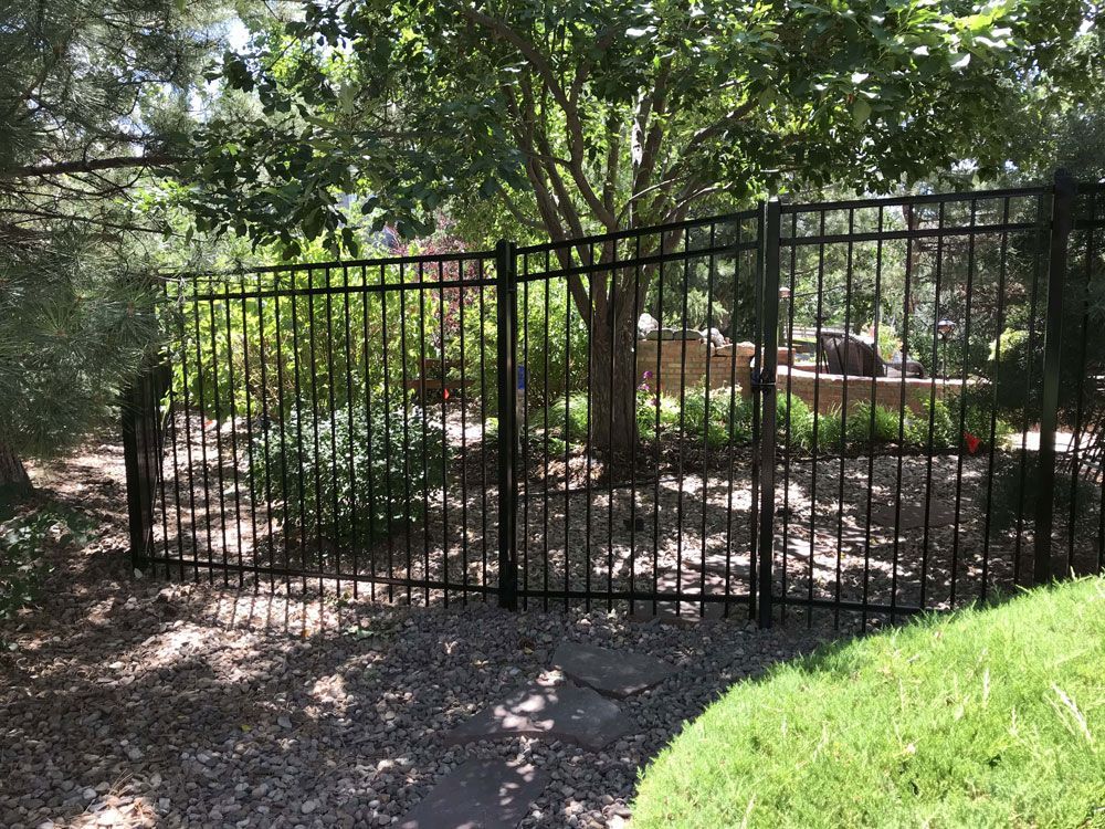 A black metal fence surrounds a yard with trees and bushes.