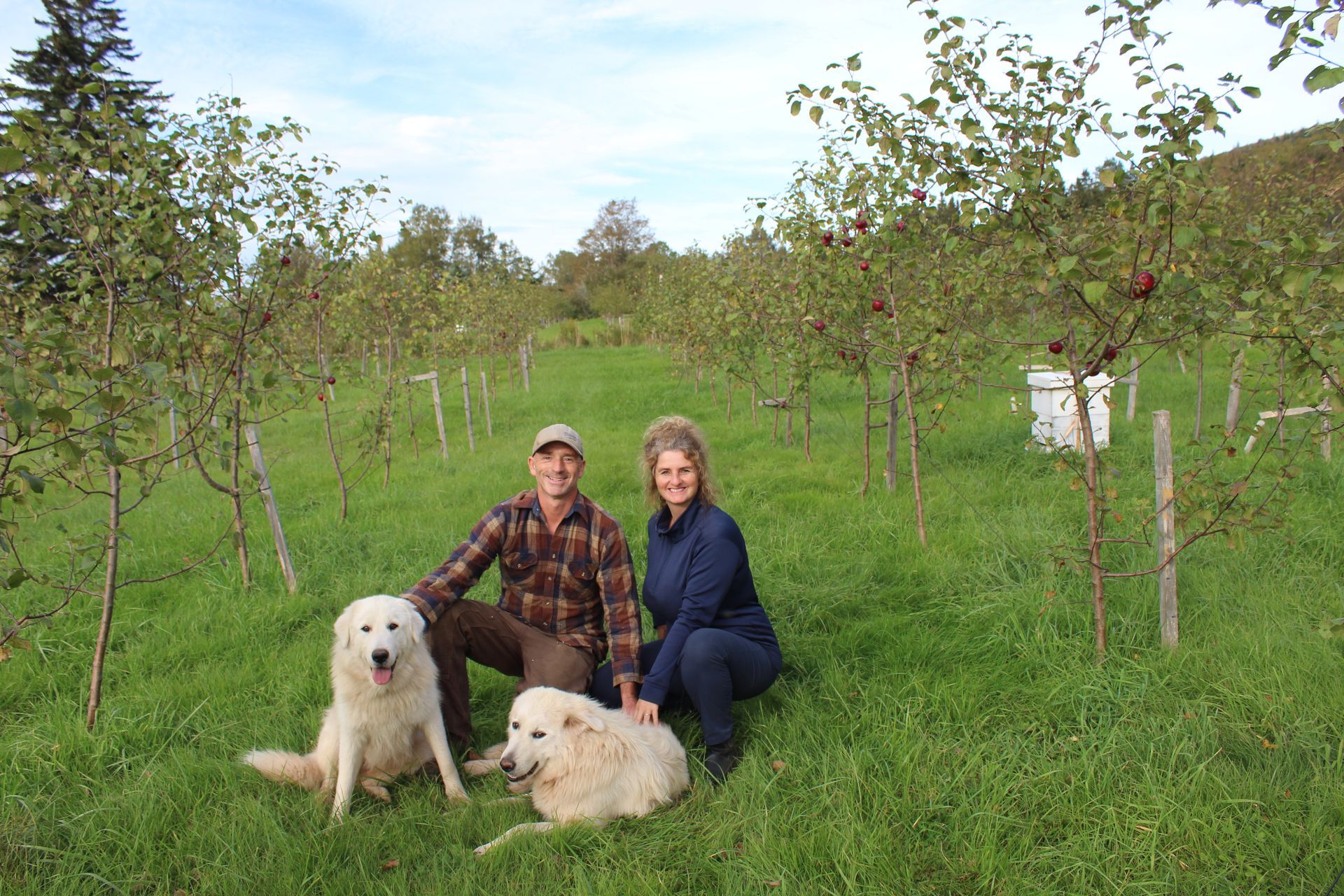Glenbourne cider Cape Breton finest cider made by 