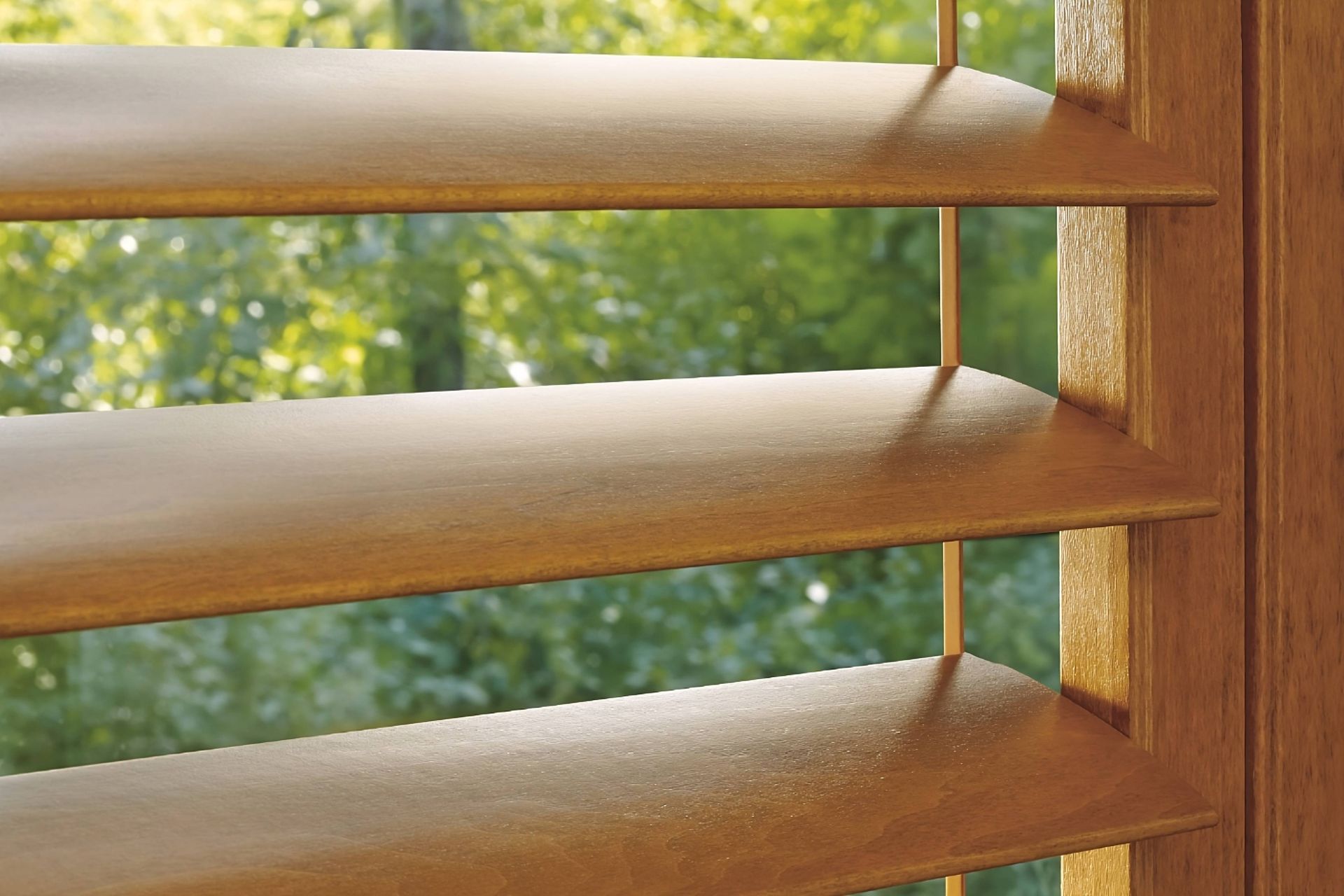 Up-close image of Hunter Douglas Heritance® Wood Shutters partially opened with a view outside, overlooking greenery at Curtain Concepts near Huntington, West Virginia (WV)