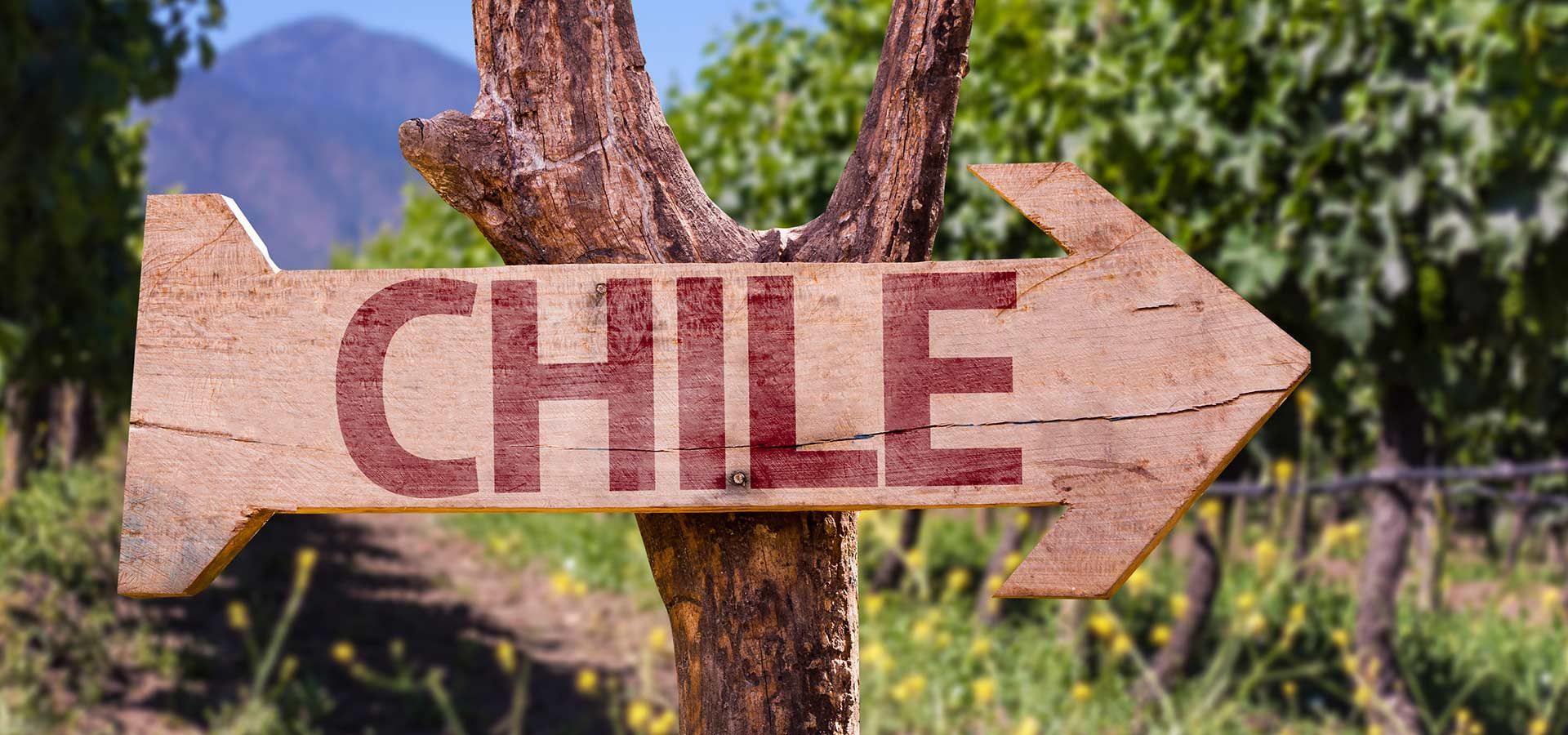 Wein aus Chile