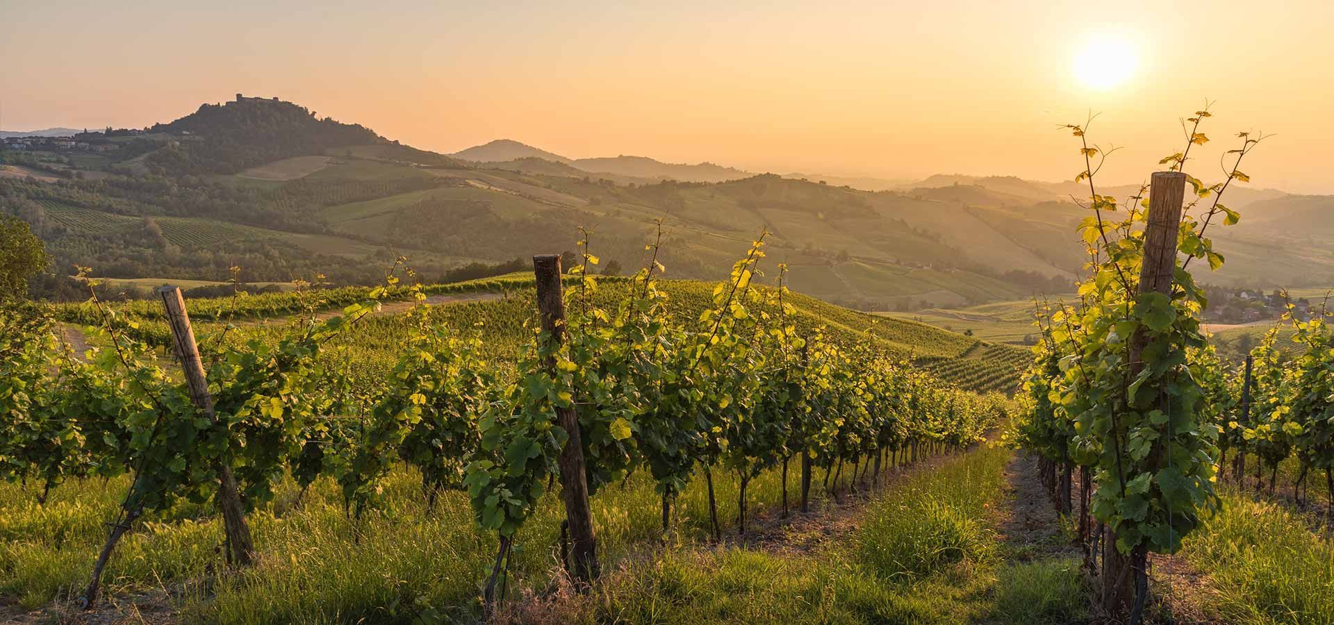 Weinregion Lombardei
