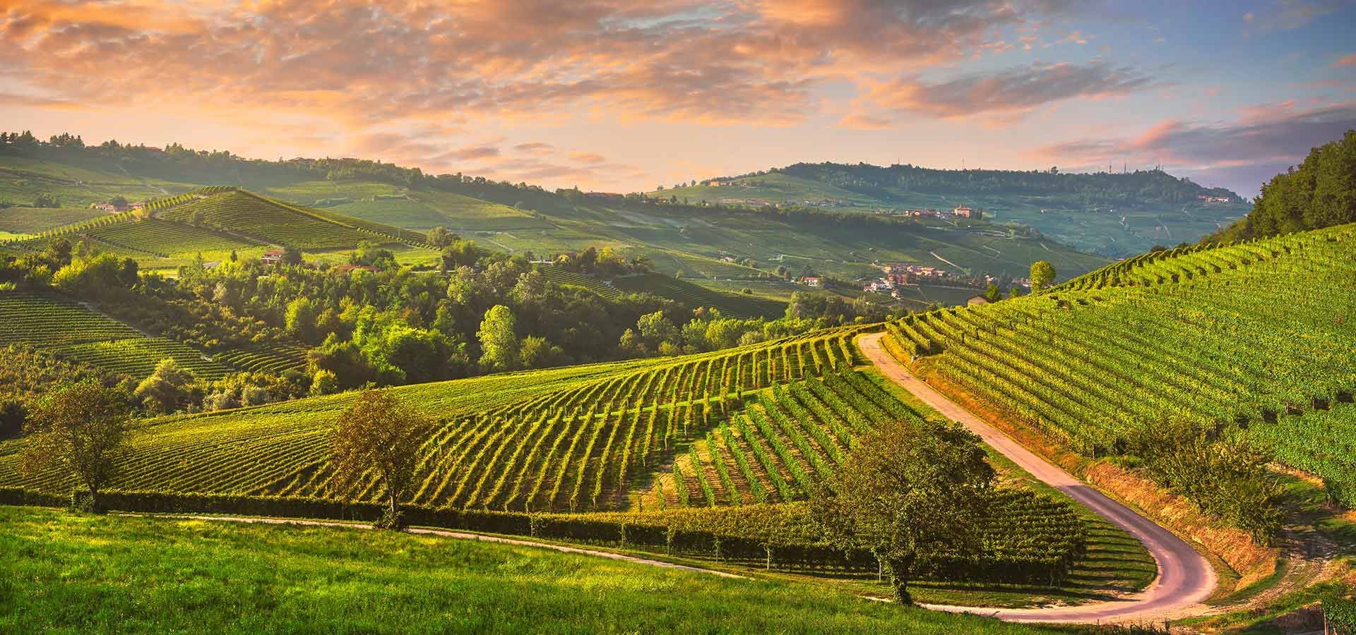 Weinregion Piemont