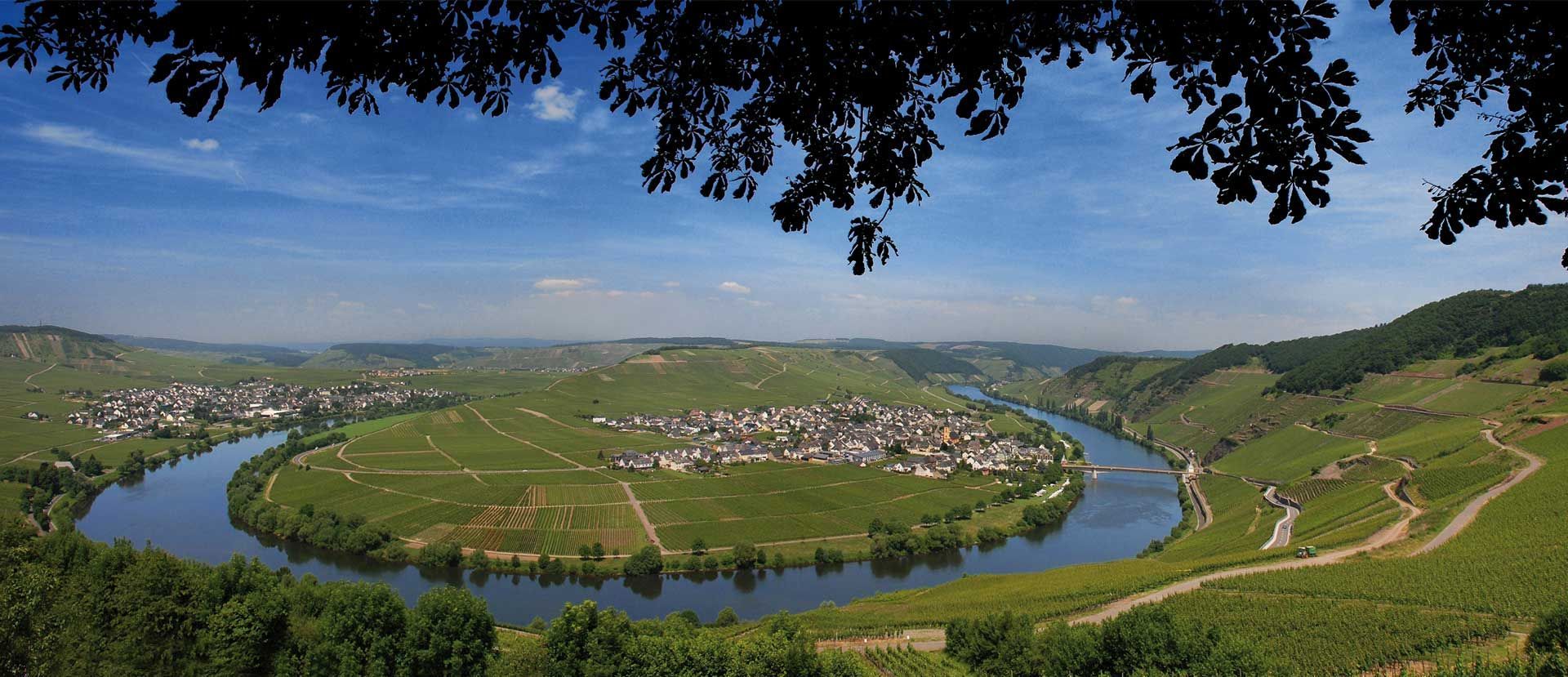 Weingut Clüssenrath-Weiler, Trittenheim