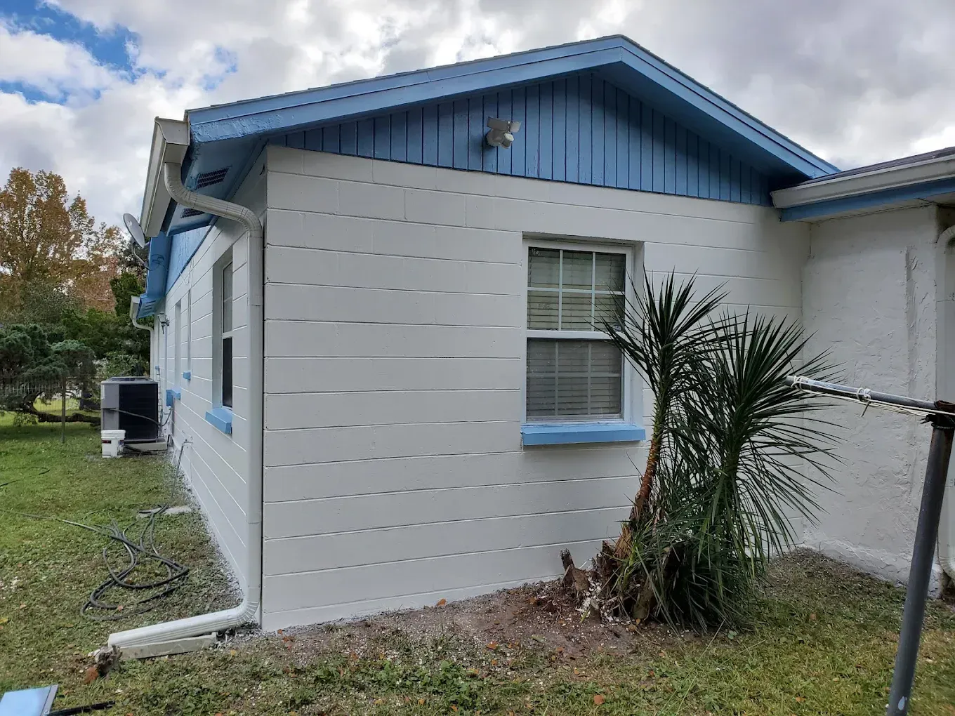 Side of a light blue and white house with a small window, a palm tree, and green grass.