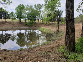 A Small Pond Surrounded by Trees and Dirt in The Middle of A Field  | Independence, KS | K & M Pasture Clearing and Skid Loader Services
