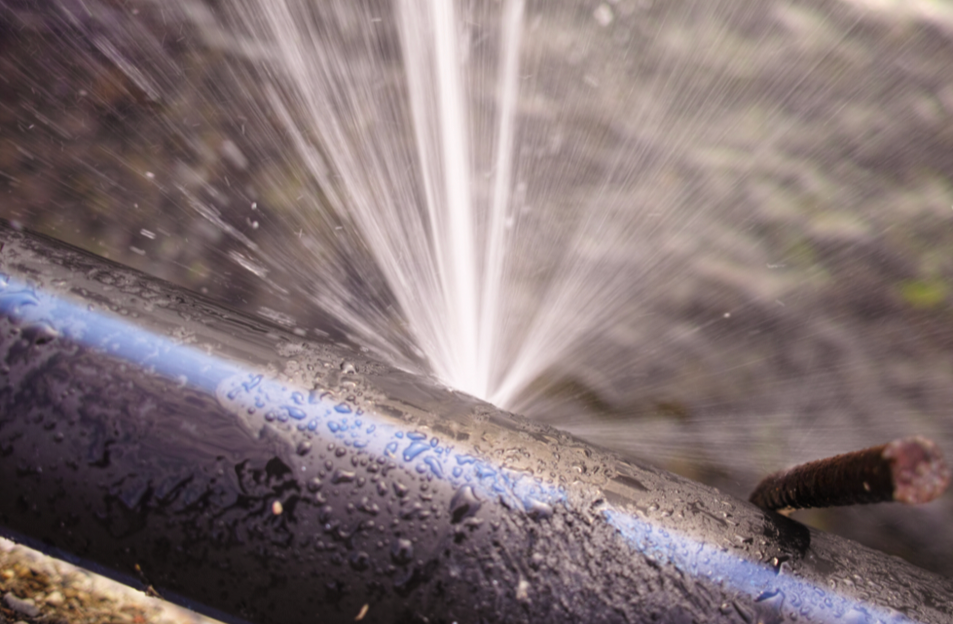 emergency plumber