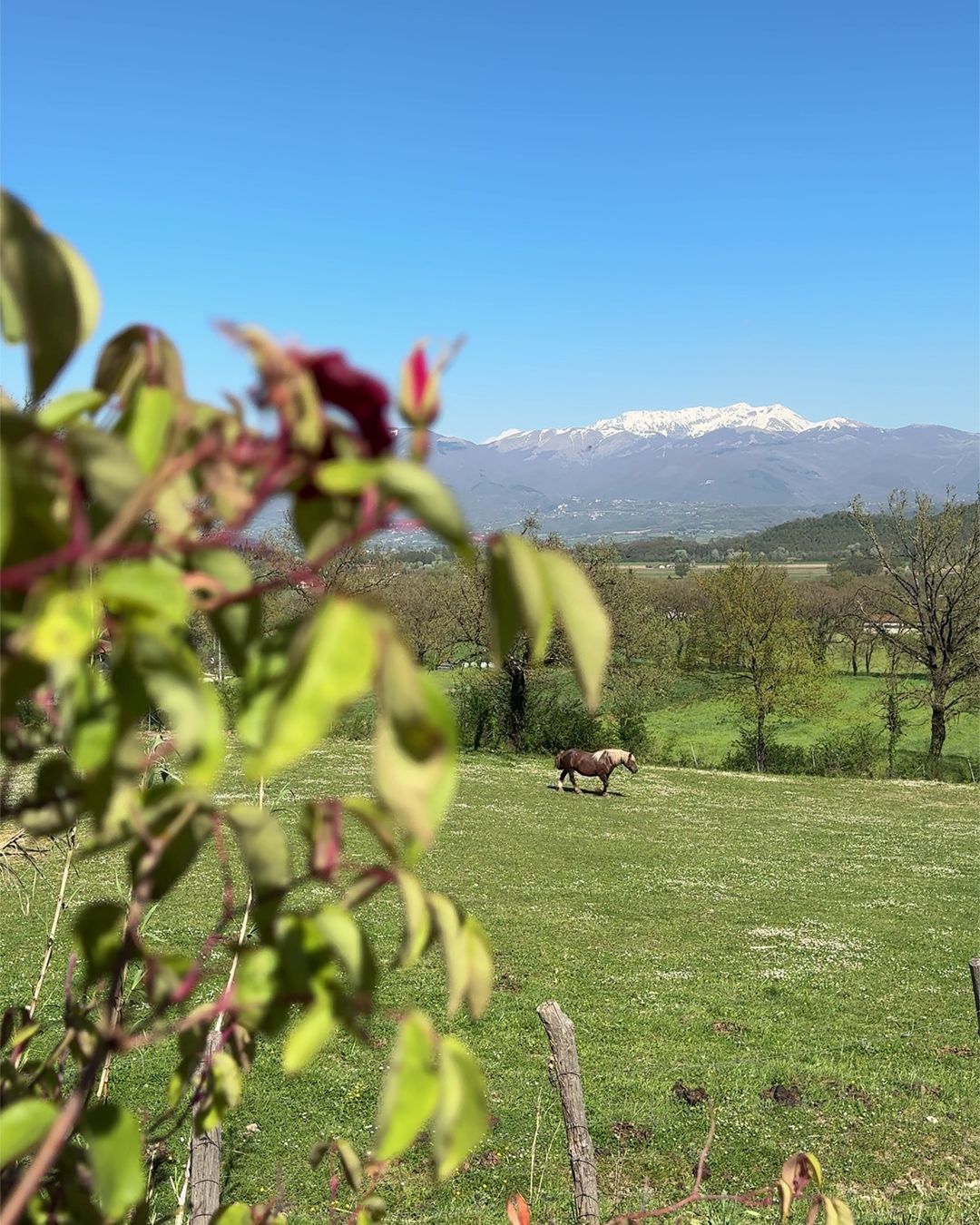 Agriturismo immerso nella natura, Lazio