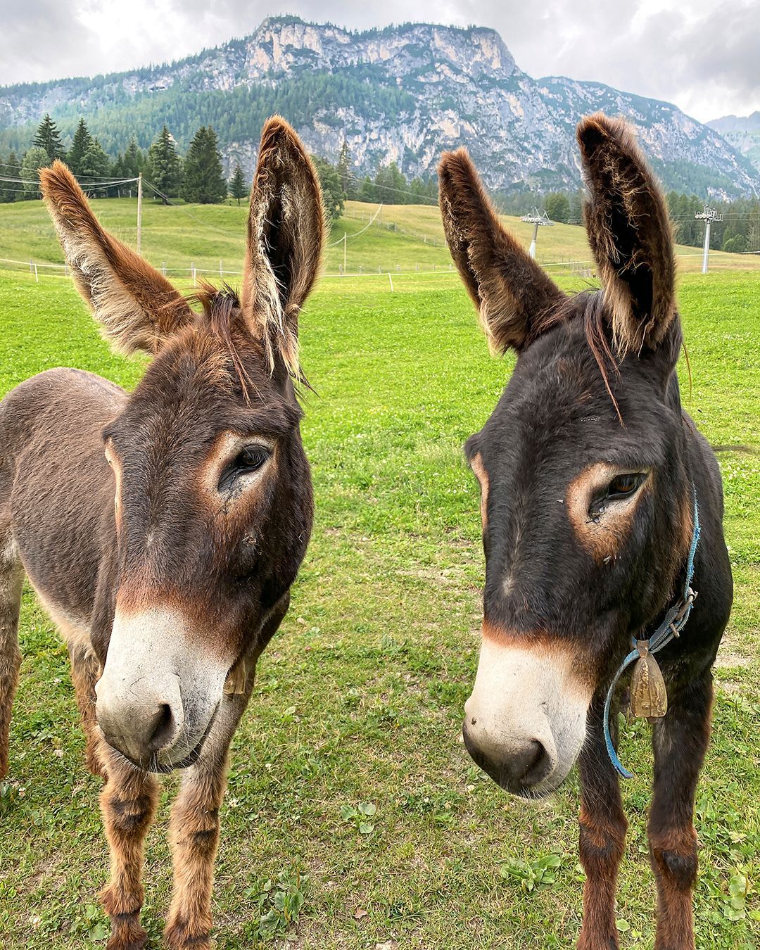 Alta Badia Dolomiti