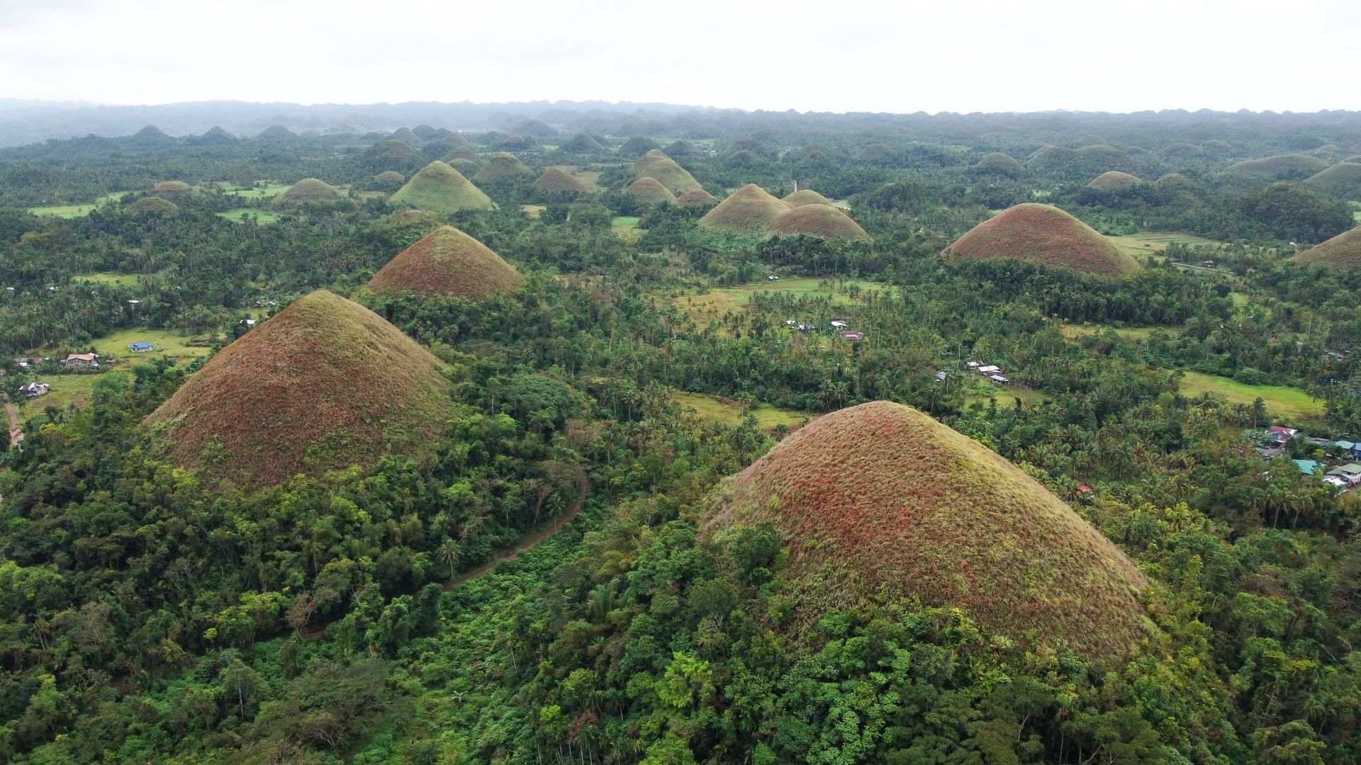 Chocolate Hills