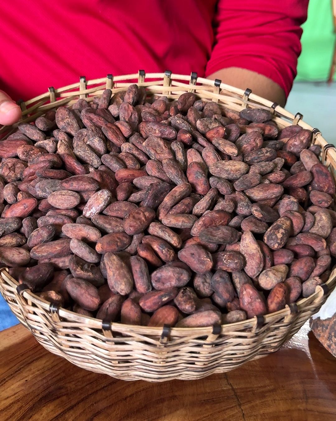 Prenotare tour cioccolato Belize